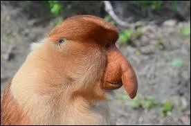 Combien p&egrave;se-t-il au minimum ?