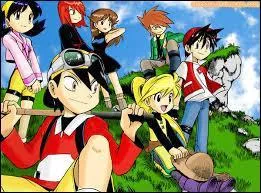 Pokémon - Quel cycle est celui de la rivalité Rubis / Saphir ?