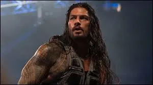 Qui entraîne Reigns en août 2015 ?