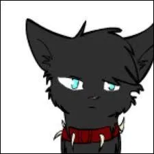 De qui est-il le beau-frère ?