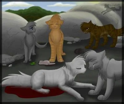 Qui a surpris en premier Rivière d'Argent et Plume Grise ?