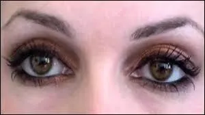 Qui a dit cela ? « Qui croit devoir fermer les yeux sur quelque chose se voit bientôt forcé de les fermer sur tout »