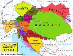 11 août 1914 - Qui déclare la guerre à l'Autriche-Hongrie ?