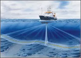 Quel appareil permet d'écouter les sons émis par les dauphins dans la mer ?