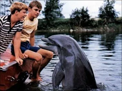 Comment s'appelle le parc aquatique dans la série "Flipper le dauphin" ?