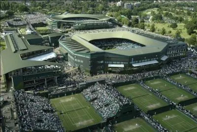 Par un dimanche ensoleillé, je vous propose d'aller à Wimbledon afin de visiter le parc de tennis. Quel est le type de surface des cours de tennis ?