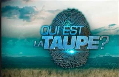 Maintenant, je vous demande de répondre à la question ultime que tout le monde cherche depuis le début de l'aventure : qui est la taupe ?