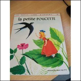 En attendant l'arrivée du dessert, Ferlie propose que nous t'offrions nos petits cadeaux, je sais que tu aimes la lecture et j'ai choisi le conte qui porte ton nom :