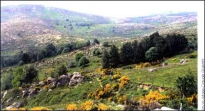 Peut-être avez-vous visité quelques parcs nationaux. Quel parc national a été classé patrimoine de l' humanité par l' UNESCO en 2011 ?