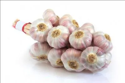 En France, nous sommes fiers de notre savoir faire. Beaucoup de villes sont baptisées capitales. Quelle est la capitale de l' ail ?