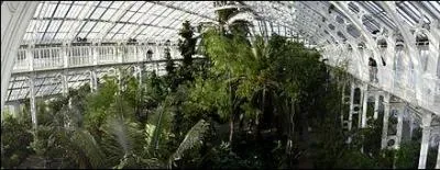Un petit saut en Angleterre. Vous y découvrirez une magnifique serre au bord de la Tamise où travaillent des chercheurs, et des plantes et fleurs de tous les pays. C' est la serre de ... .