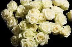 Où va-t-il un matin d'avril ?