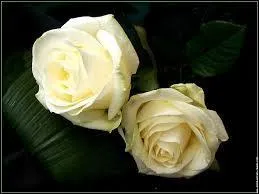 Combien de membres de sa famille lui restait-il ?