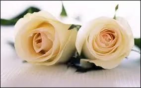 Quelles fleurs aimait-elle en particulier ?