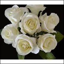 Quand lui offrait-il ses fleurs favorites ?