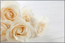 Quand il sera grand, que prévoit-il de faire ?