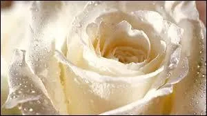 Où la mère est-elle partie ?