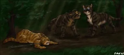 Plume de Faucon voulait que Griffe de Ronce soit :