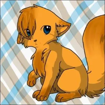 Qui était son premier apprenti dans la forêt sombre ?