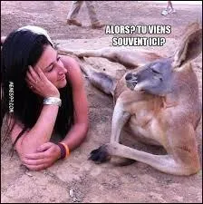 Dans la mythologie grecque, Zeus est connu pour &ecirc;tre un v&eacute;ritable s&eacute;ducteur. Afin de s'attirer les bonnes gr&acirc;ces des &ecirc;tres qu'ils d&eacute;sirait, Zeus avait pour habitude de prendre la forme d'un animal. Parmi ses nombreuses m&eacute;tamorphoses, il n'a jamais pris l'apparence d'un :