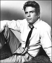 L&agrave; par contre, voici un exemple de grand tombeur de ces dames. Ce com&eacute;dien am&eacute;ricain a un palmar&egrave;s de conqu&ecirc;tes des plus impressionnants. Parmi elles, on peut citer des c&eacute;l&eacute;brit&eacute;s telles que Vivien Leigh, Elizabeth Taylor, Annette Bening, Faye Dunaway, Madonna, Jacqueline Kennedy, Diane Keaton ou encore Isabelle Adjani. Comment s'appelle ce fameux acteur ?