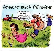 "L'amour est dans le pr&eacute;" est une &eacute;mission de t&eacute;l&eacute;r&eacute;alit&eacute; destin&eacute;e &agrave; faire rencontrer l'amour &agrave; des agriculteurs et agricultrices c&eacute;libataires. Depuis quelle ann&eacute;e cette &eacute;mission est-elle diffus&eacute;e en France ?