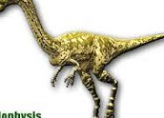 Quiz Des dinosaures (6) - Le coelophysis