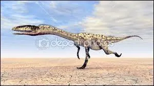 Qui a décrit l'espèce, huit ans plus tard ?