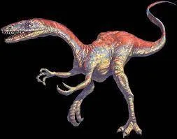 Il a vécu sur deux continents, l'Afrique et :