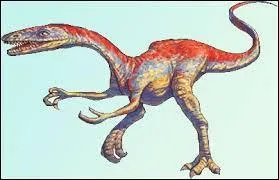 Que signifie « Coelophysis » ?