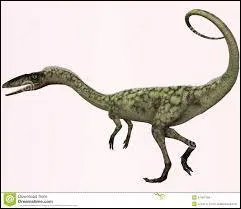 Durant combien de Ma a-t-il vécu ?