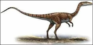 Quelle était sa hauteur moyenne ?