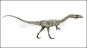 Au maximum, il pouvait peser :