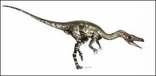 Vers où ses dents étaient-elles incurvées ?