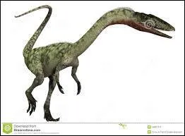 Commennt chaque animal chassait-il ?