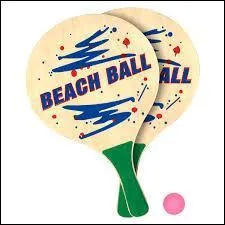 L'autre jour, j'ai emmené mes « raquettes » de plage pour jouer avec ma petite cousine. Quelle est la bonne traduction ?