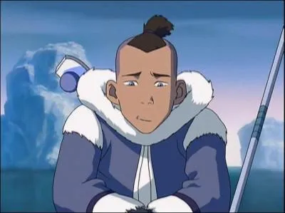Dans "Avatar", le frère de Katara a un sabre en...