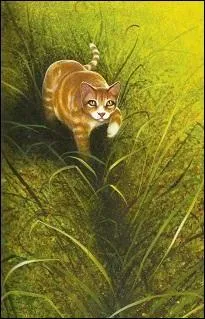 Qui a choisi Etoile Filante pour le remplacer à sa mort ?