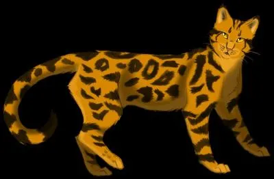 Quel a été le nom d'Etoile du Léopard avant qu'elle ne soit chef ?