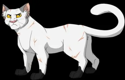 De quoi est mort Etoile de Jais ?