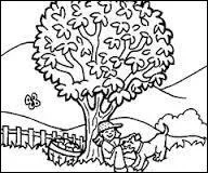 Qui a dit cela ? « Jamais la nature ne nous trompe ; c'est toujours nous qui nous trompons »