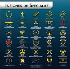Vous faites la collection d'insignes, ainsi vous êtes un :