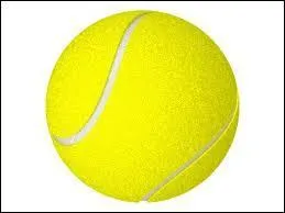 Pour finir, un sport de raquette très estivale qui utilise cette balle en caoutchouc remplie d'air. Celle-ci est impérativement jaune ou blanche dans les compétitions officielles de :