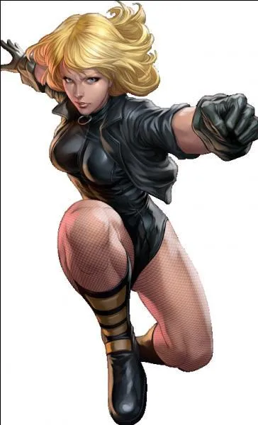 De quelle maison de production vient Black Canary ?