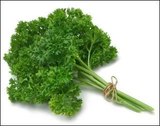 Les chatons d'une reine sont au Clan des Étoiles. Pour arrêter sa production de lait, tu lui donnes...