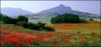 Quelle religion 70% des Espagnols pratiquent-ils ?