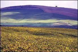 En 2009, combien d'habitants le pays comptait-il ?