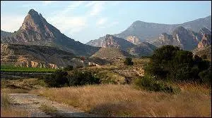 De quelle langue cette devise vient-elle ?