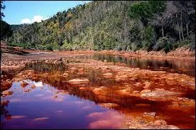 Quel régime l'État a-t-il adopté ?