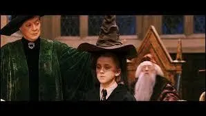 Dans quelle maison est-il envoyé à Poudlard ?